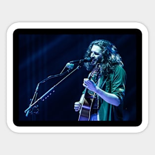 Hozier guitar Sticker